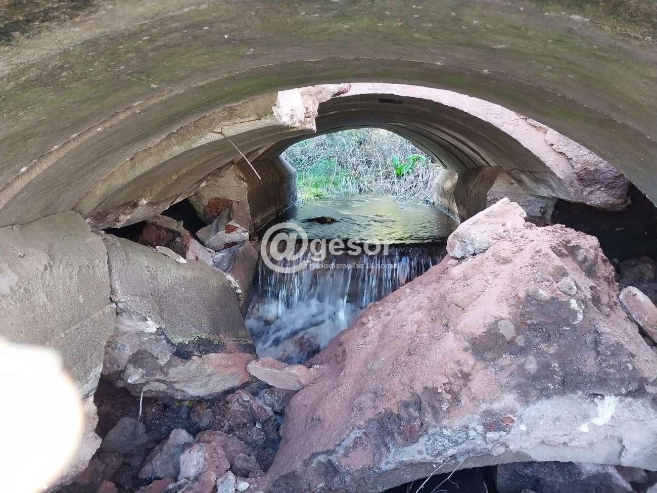 Image2